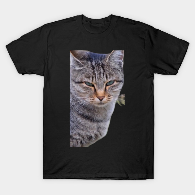 【IONSEOUL】The Cats Long Sleeve T-Shirts 4JH544 Invincible Cat Unisex Long Sleeve Tee – SnorgTees.com